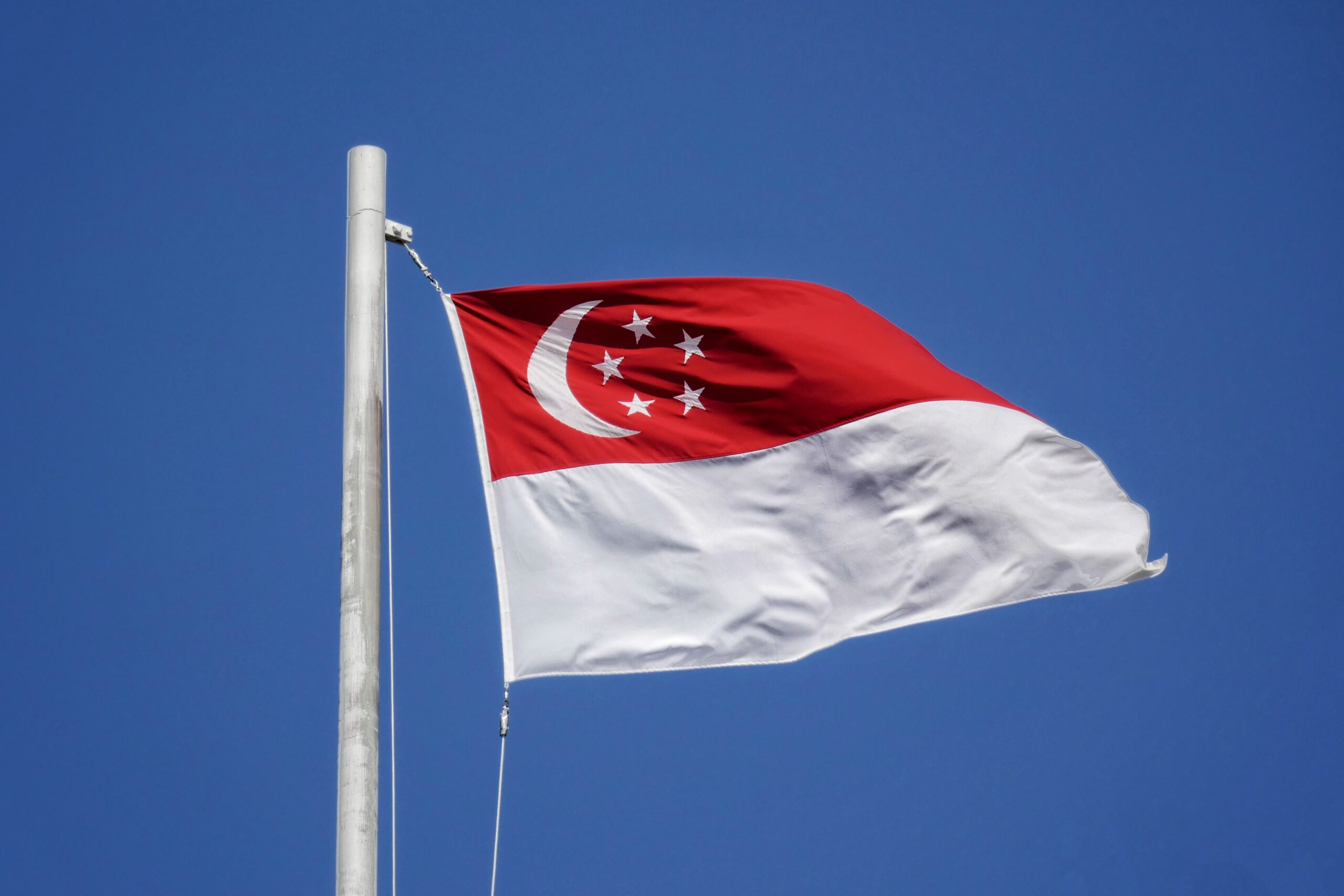 List of 3 renewable energy investors from Singapore