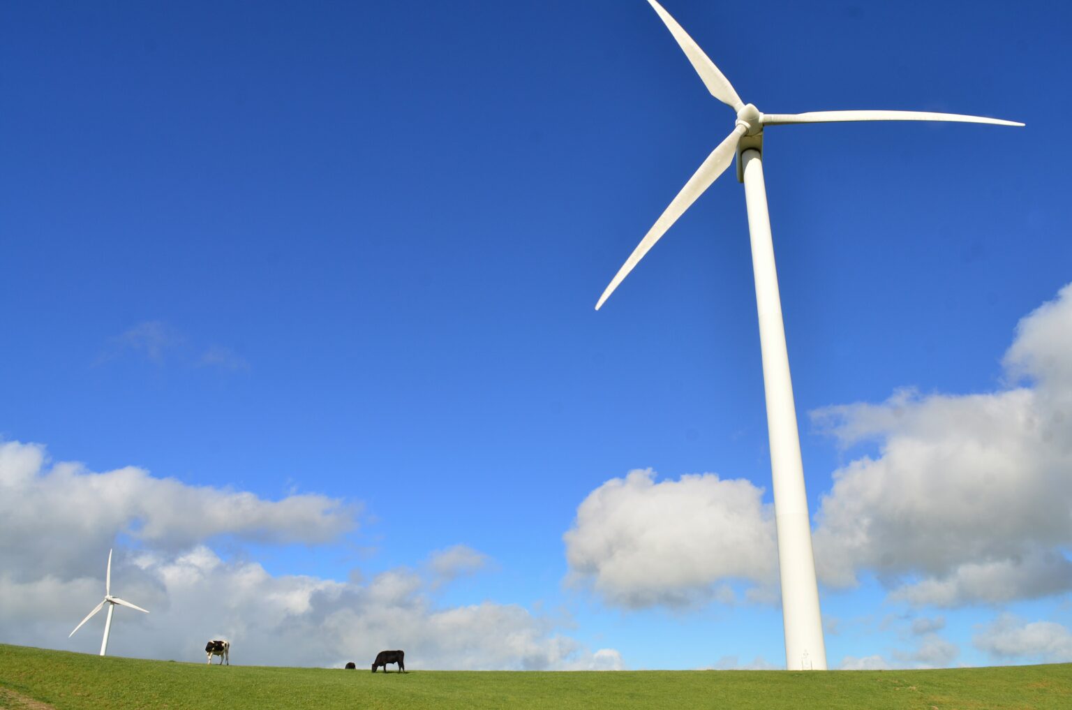 RWE plans to develop 600MW Dublin wind project