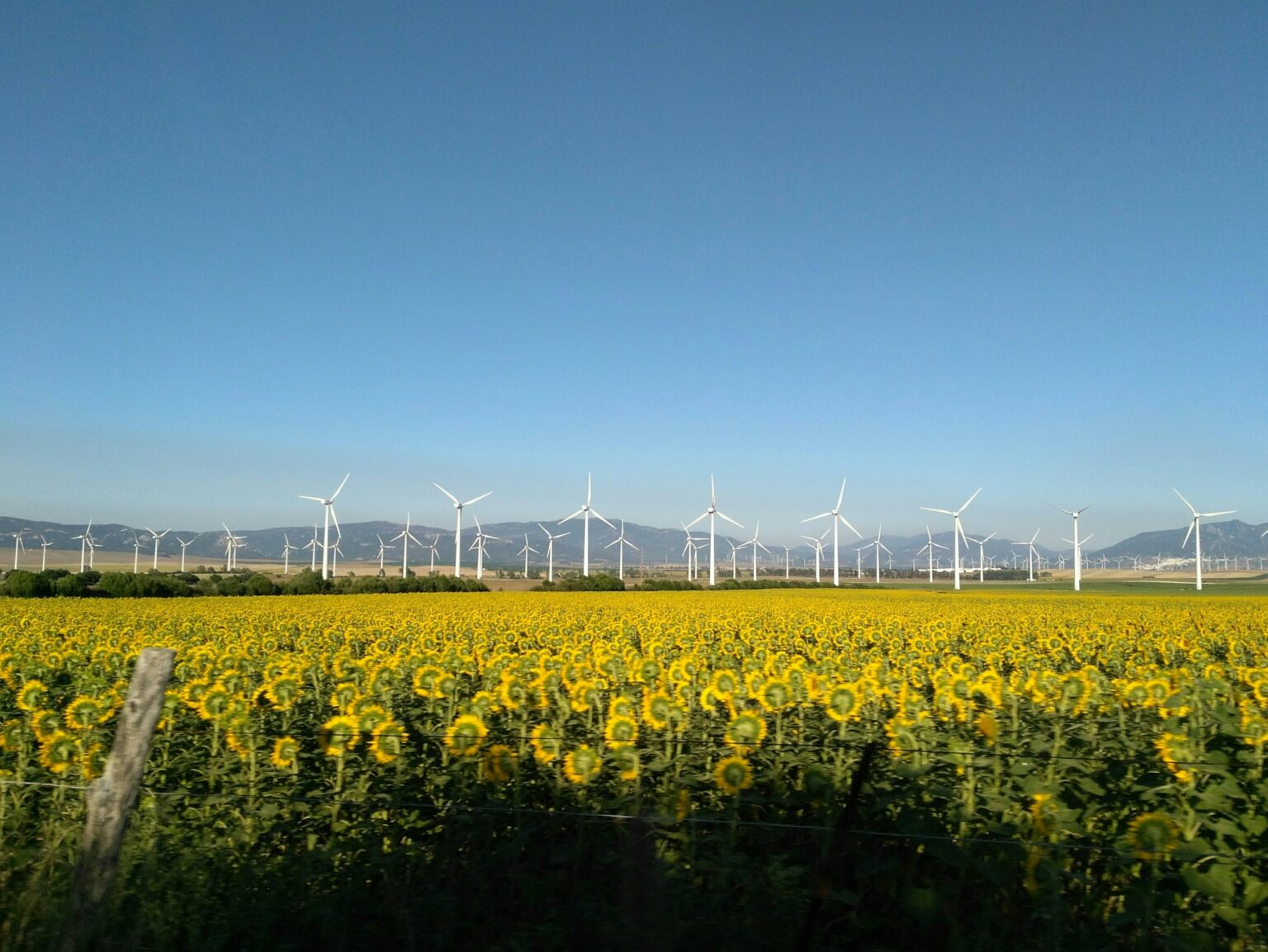 Aquila Capital and Green Investment group expand to already vast wind portfolio.