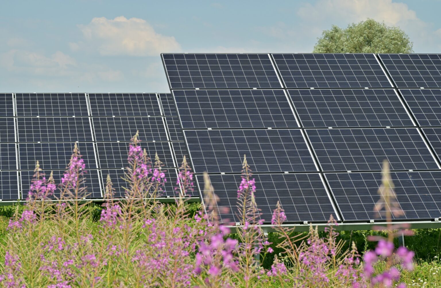 Croatian solar needs to undergo rapid expansion to catch neighbouring European countries and to do so the Government has reduced implementation costs and permit delays.