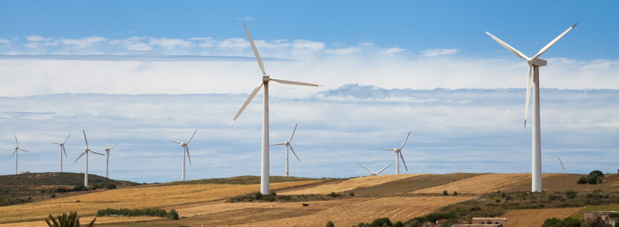 European wind energy developers