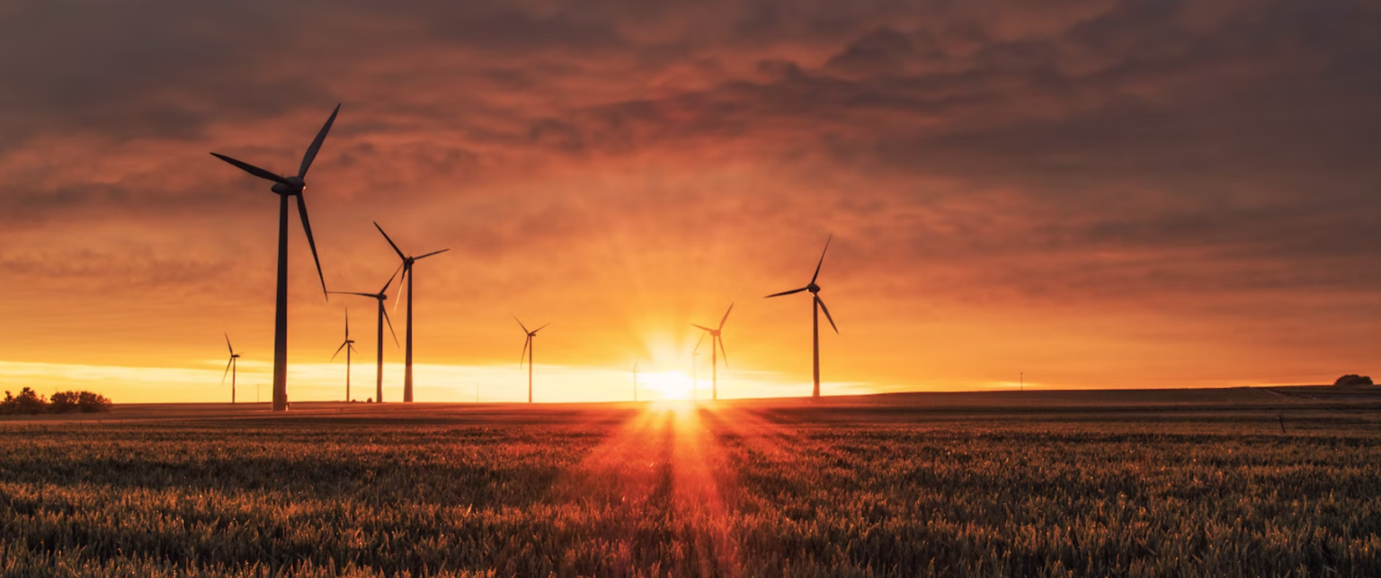 List of 3 German IPPs investing in renewable energy