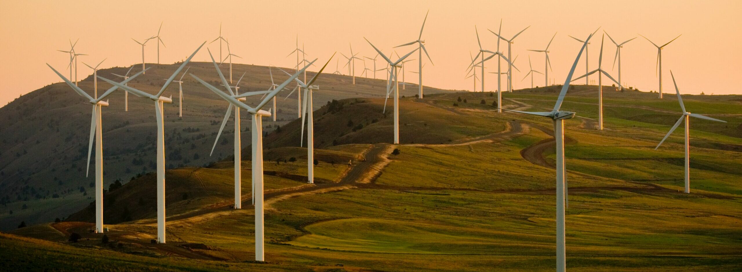 Wind energy developers from the United States