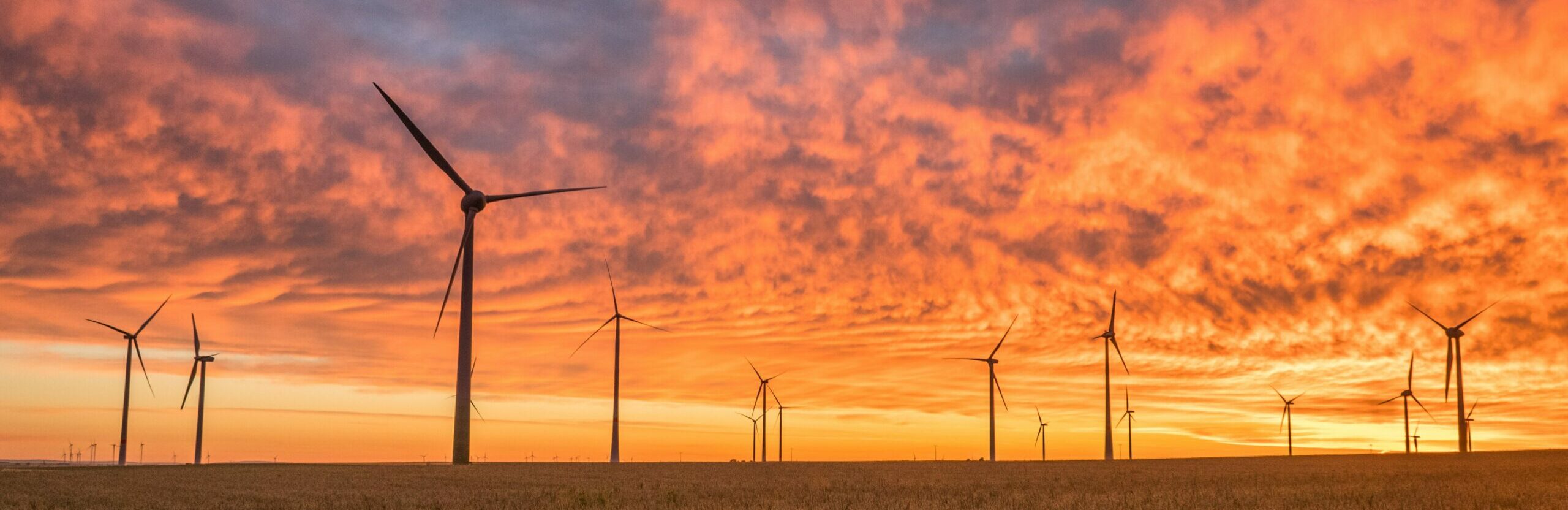 Wind energy investors Germany